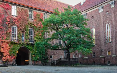 Stockholm City Hall. Bahçedeki ağaç.