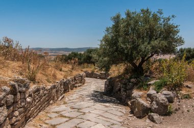 Şehrin Teboursouk, Beja, Tunus kalıntıları