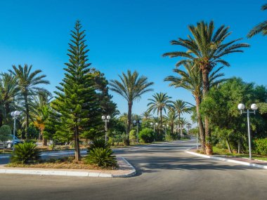 Otele giden yol. Fas.