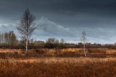 Orta Rusya bölge geç sonbaharda. Voronezh bölgesi.