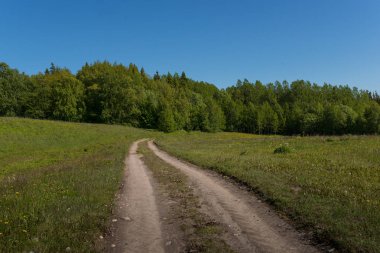 Solovki, Kuzey, Rusya Federasyonu
