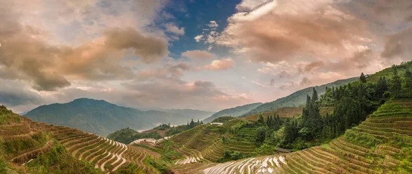 Terrasses Riz Dans Brouillard Guilin Chine — Photo