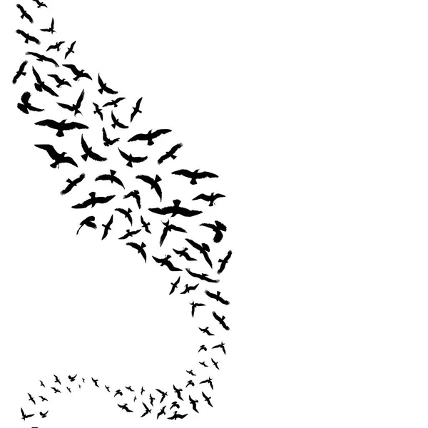 Siyah kuşlar siluetleri