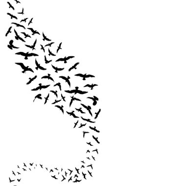 Siyah kuşlar siluetleri