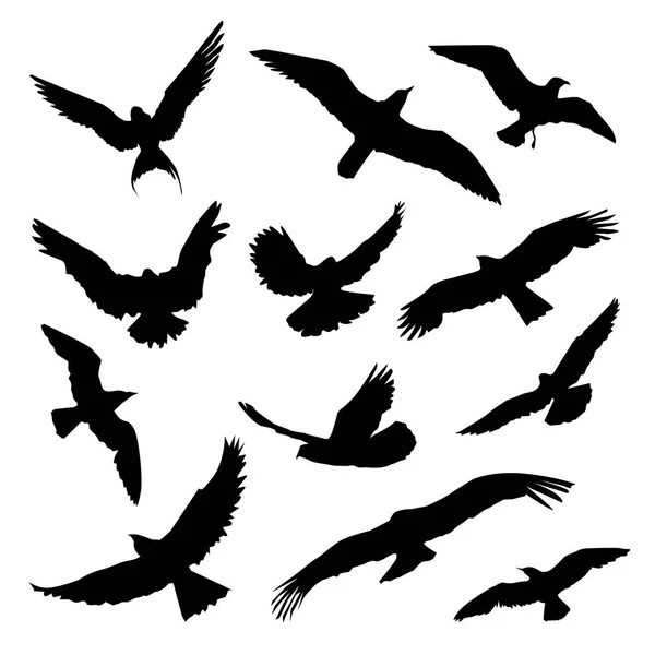 Abstrakte Vögel, schwarze Silhouetten — Stockvektor
