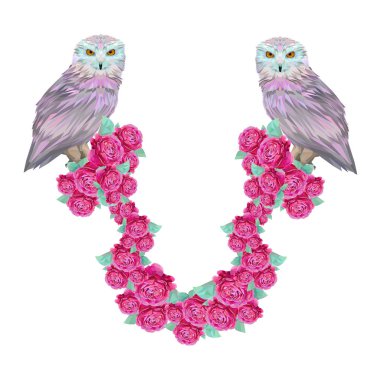 Parlak baykuşlar ve gül, izole nesneleri