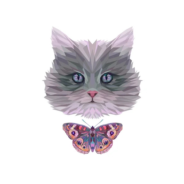 Colorful kitten head and butterfly — Stock Photo, Image