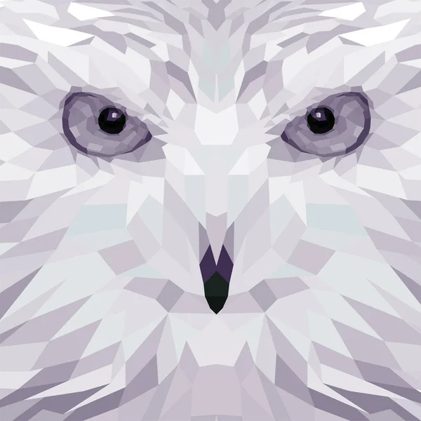Baykuş kafası arka plan, vektör çizim