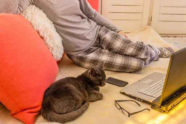 Kobieta w piżamie laptopa za pomocą okularów, telefon i kot Obrazy Stockowe bez tantiem