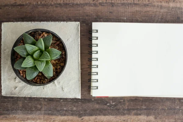 Boş defter ile çimento tencerede etli bitki.