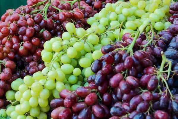 Kırmızı ve yeşil taze üzüm arka plan. Seçici odak.