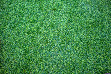 yeşil çimenlerin arkaplanı.