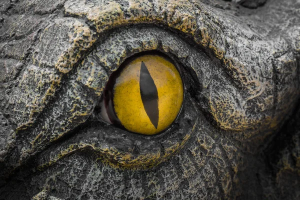 Gele ogen van krokodillen. — Stockfoto