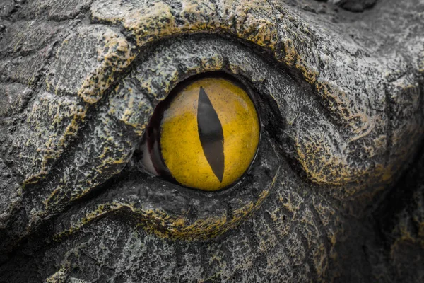 Yellow eyes of crocodiles.