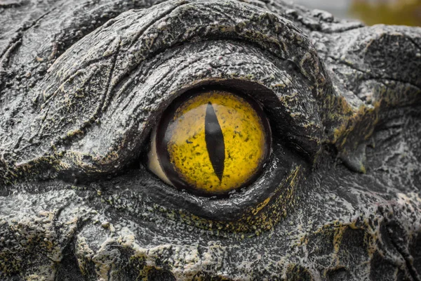 Gelbe Augen der Krokodile. — Stockfoto
