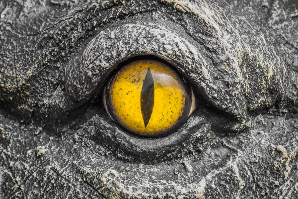 Sárga szeme a krokodilok. — Stock Fotó