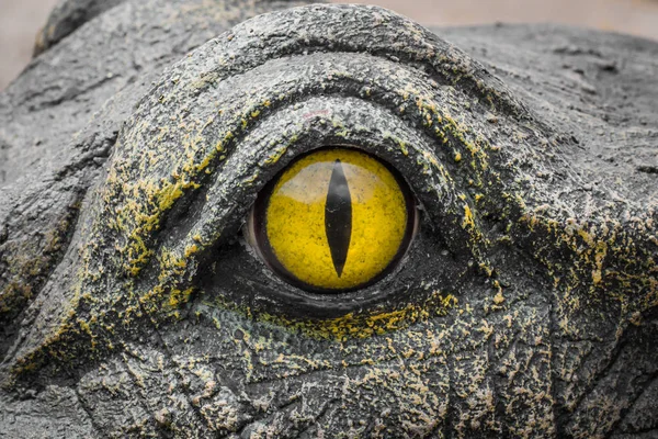 Yellow eyes of crocodiles.
