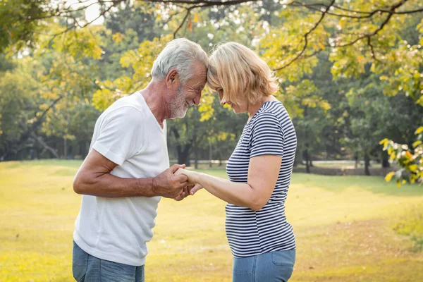 Pareja mayor de pie tomados de la mano y sonriendo . —  Fotos de Stock