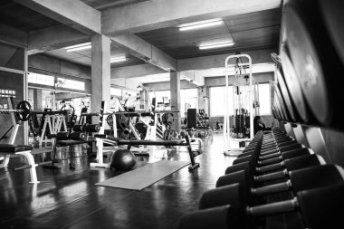 Salonun raflarında dambıllar var. Spor salonunun modern iç dekorasyonu ve ekipmanları. Spor salonunda spor malzemeleri..