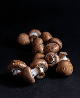 Portobello mantar şampiyonu siyah arka planda izole edilmiş.