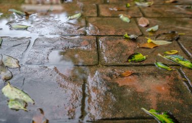 Su geçirmez dış kaplama ıslak. Damgalanmış beton kaldırım