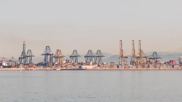 Grues portuaires fonctionnant, time-lapse — Video