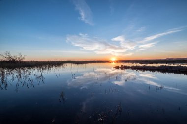 Albufera doğa rezervi Valencia İspanya