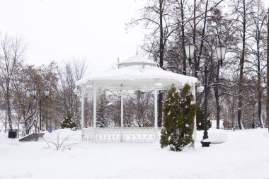 kış orman Vintage çardak