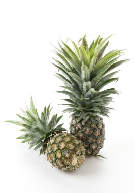 Beyaz arkaplanda taze ananas