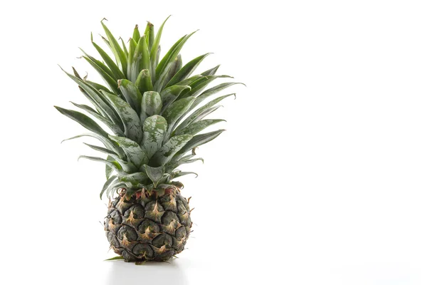 Fresh pineapple on white background — Stock Photo, Image