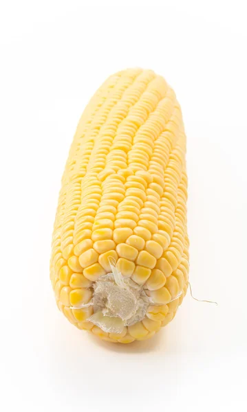 하얀 배경에 있는 신선 한 옥수수 — 스톡 사진