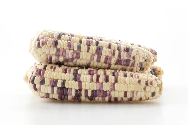 Waxy corn on white background — Stock Photo, Image