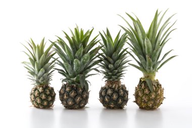 Beyaz arkaplanda taze ananas