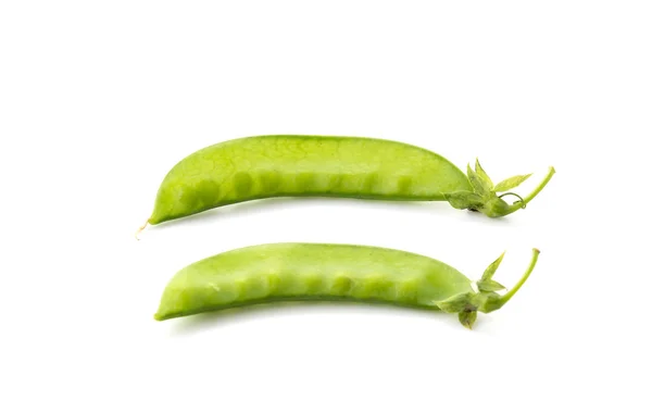 白を基調とした緑豆 — ストック写真
