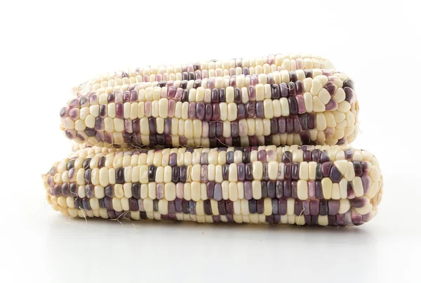 Waxy corn on white background — Stock Photo, Image