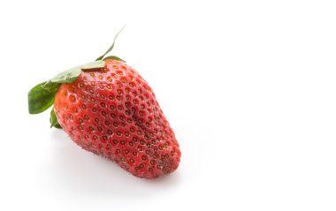 Beyaz arka planda taze çilek