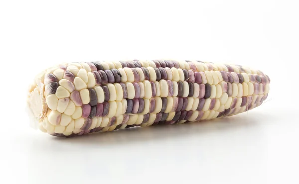 Восковая кукуруза на белом фоне — стоковое фото