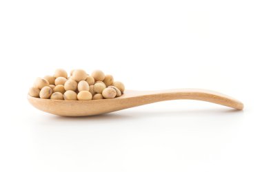 soya fasulyesi beyaz zemin üzerine