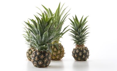 Beyaz arkaplanda taze ananas