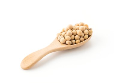 soya fasulyesi beyaz zemin üzerine