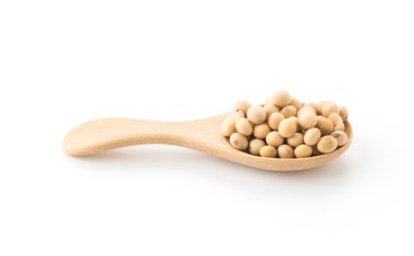 soya fasulyesi beyaz zemin üzerine