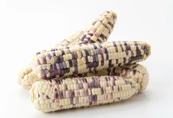 Waxy corn on white background — Stock Photo, Image