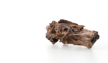 Beyaz arka plan üzerinde güzel günlüğü