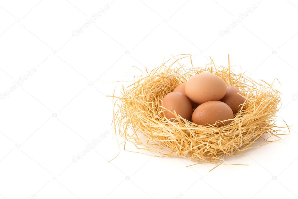 hen egg on white background