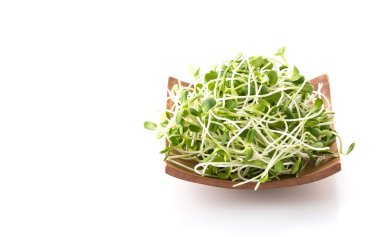 Beyaz arka plan ayçiçeği lahanası