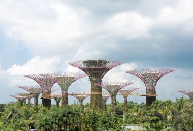 Körfez - Singapur Garden grove supertree