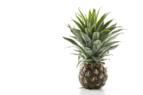 Fresh pineapple on white background — Stock Photo, Image