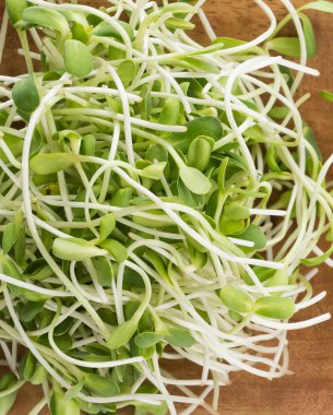 Beyaz arka plan ayçiçeği lahanası