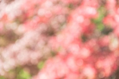 bokeh için arka plan ışık