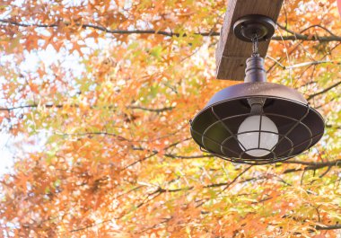 Sokak lambası, elektrik direğine